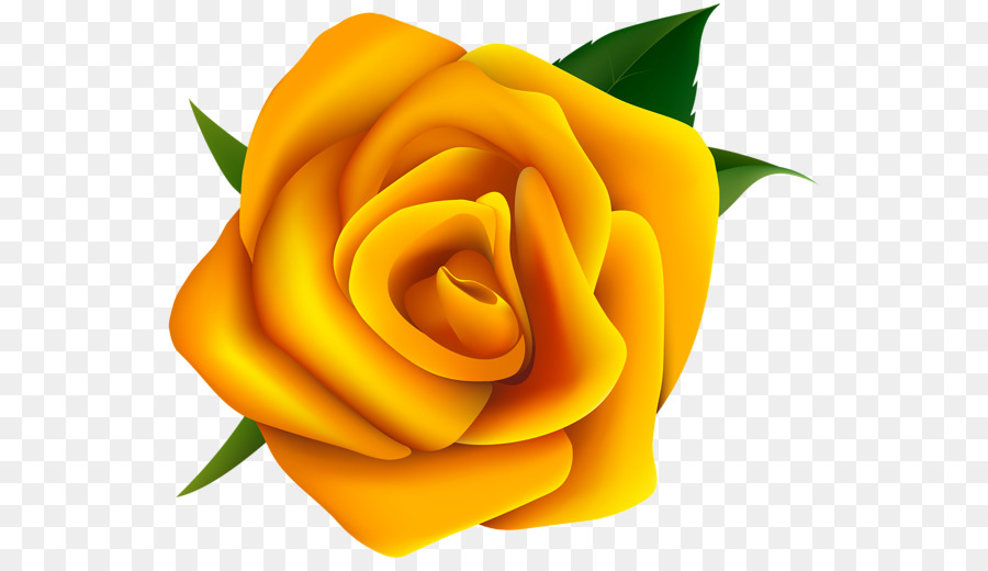 Pêche Rose，Floraison PNG