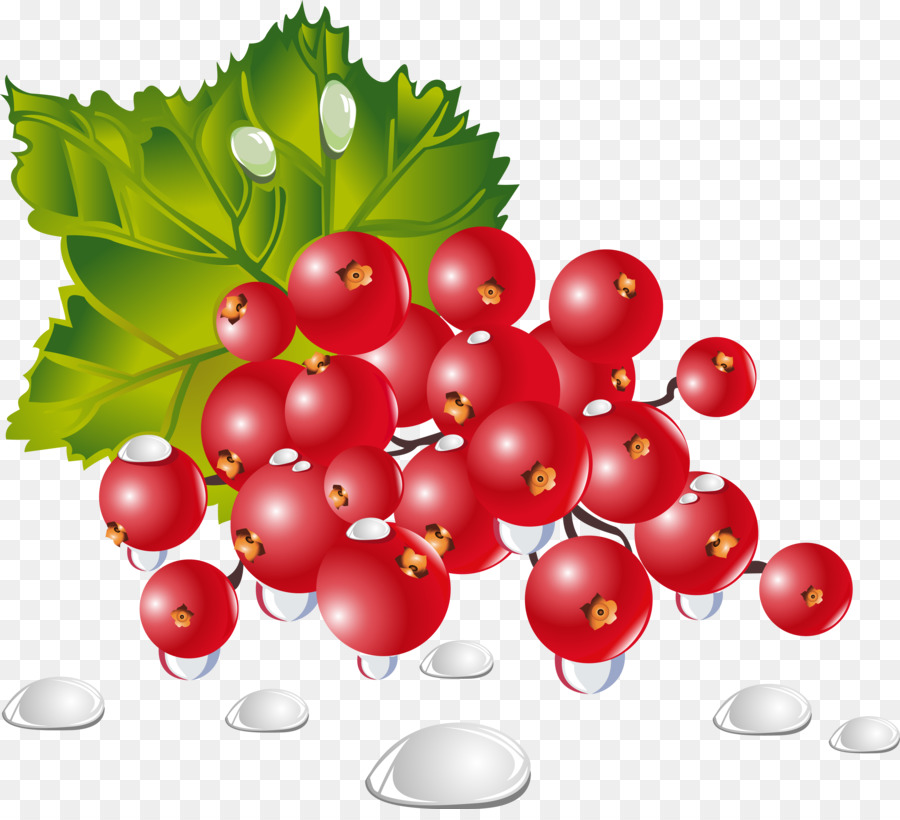 Raisins Rouges，Bouquet PNG