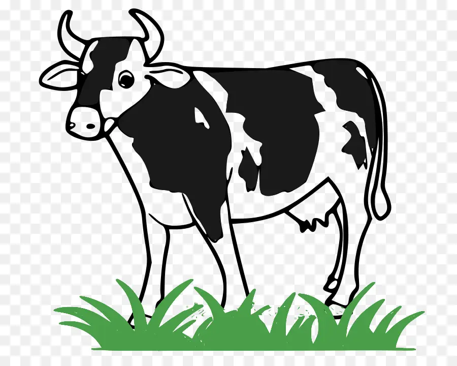 Vache，Noir PNG