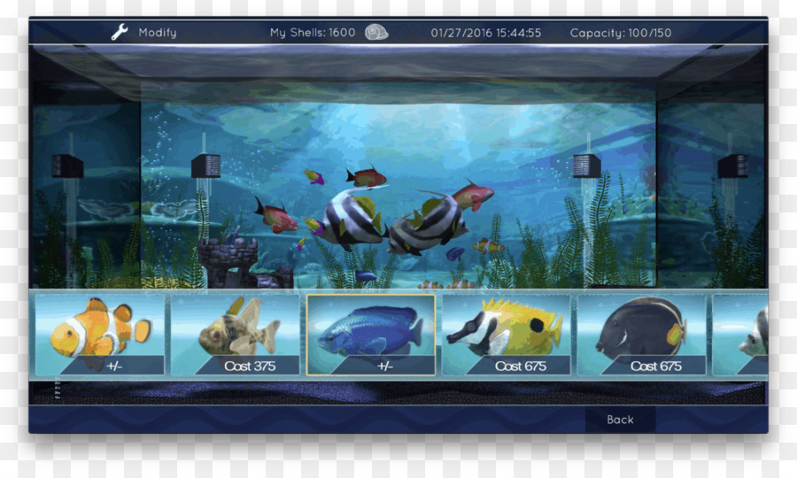 Aquarium Virtuel，Aquarium PNG