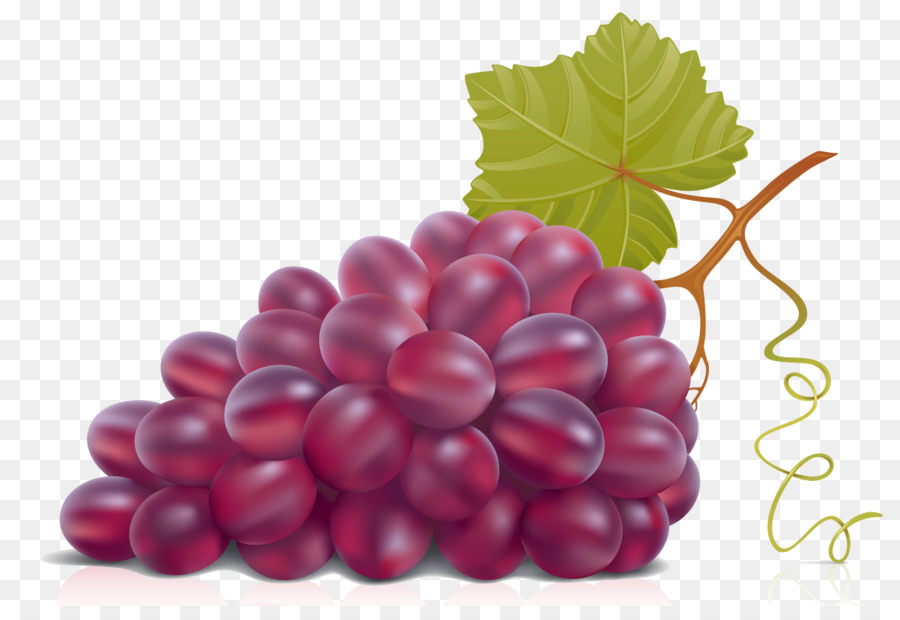 Raisins，Vigne PNG