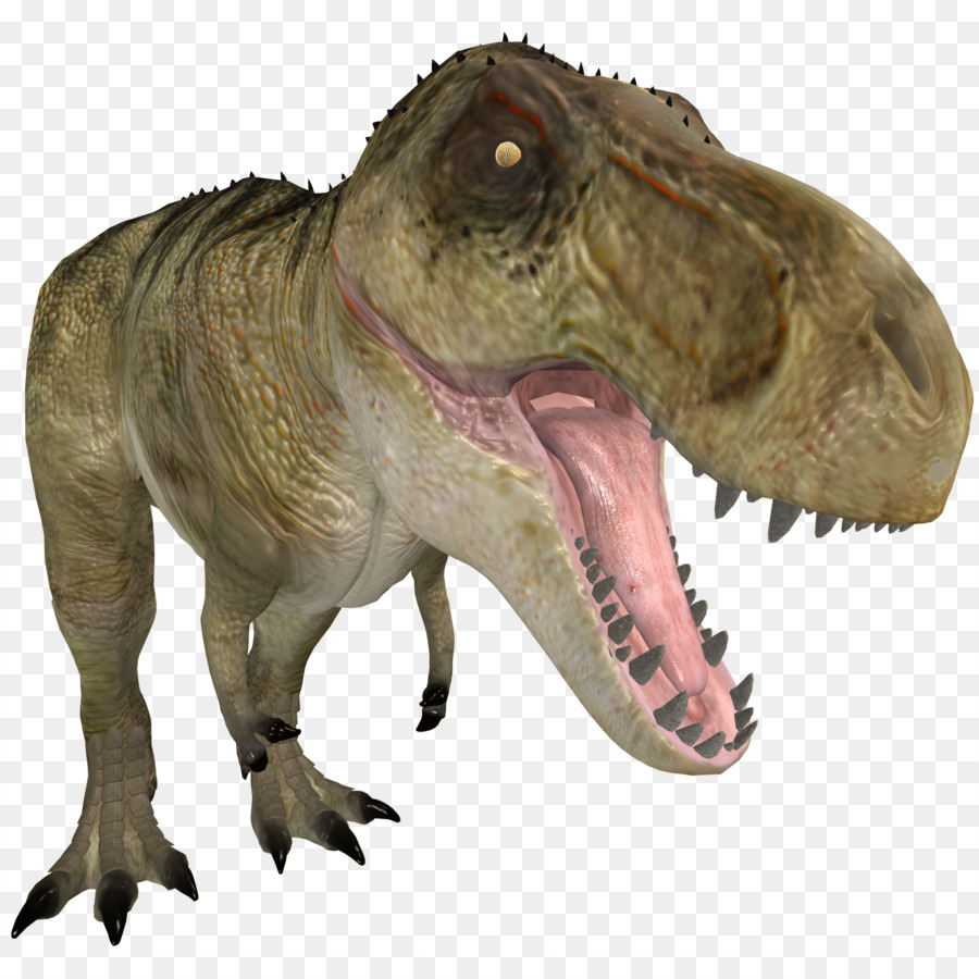 Dinosaure，Dents PNG