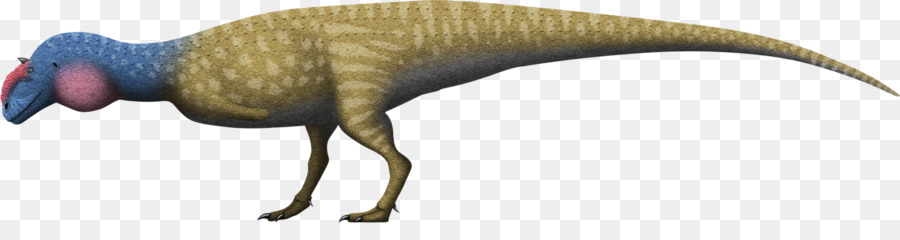 Dinosaure，Reptile PNG