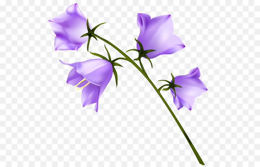 Fleurs De Cloche Violettes，Usine PNG