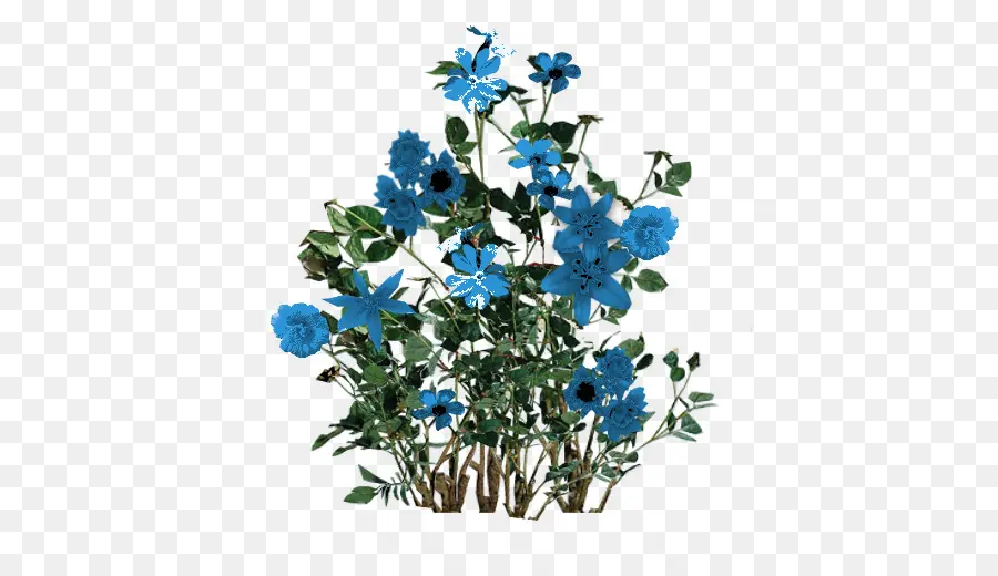 Fleur，Bleu PNG