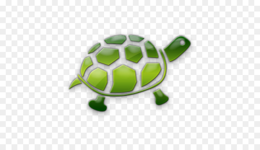 Tortue，Reptile PNG