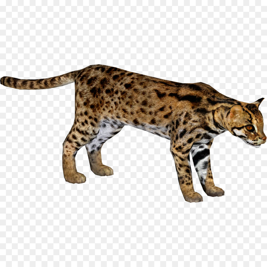 Guépard，Taches PNG