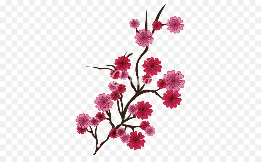 Fleurs Rouges，Bifurquer PNG