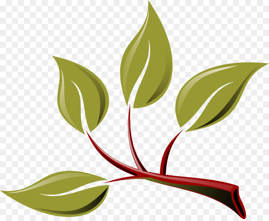 Branche，Feuille PNG