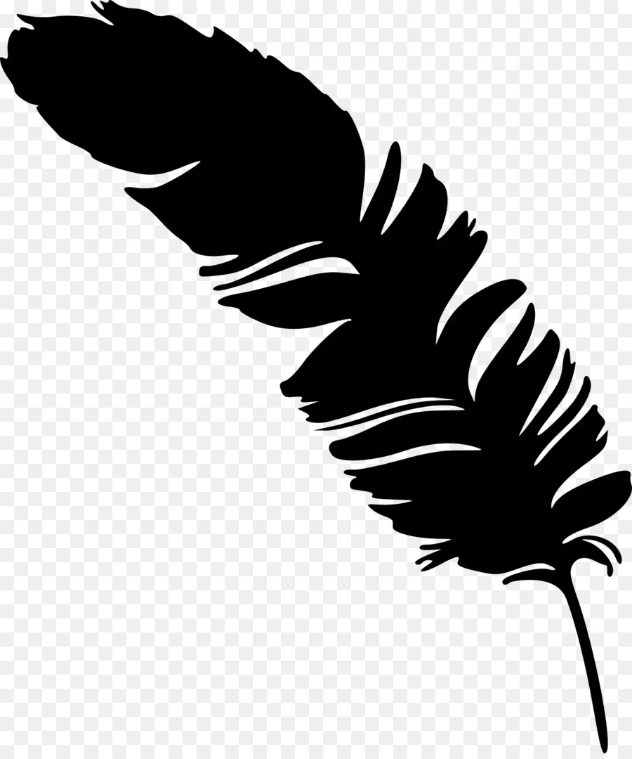 Plume，Silhouette PNG