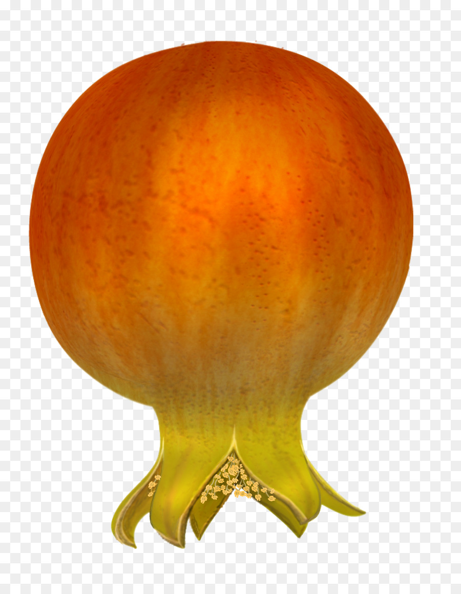 Grenade，Fruit PNG