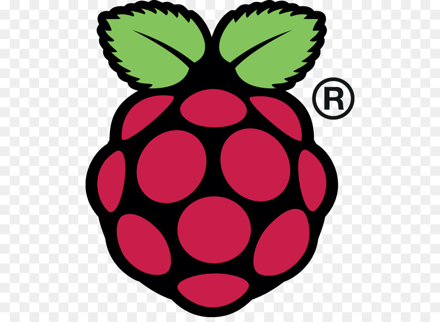 Framboise Pi，Technologie PNG