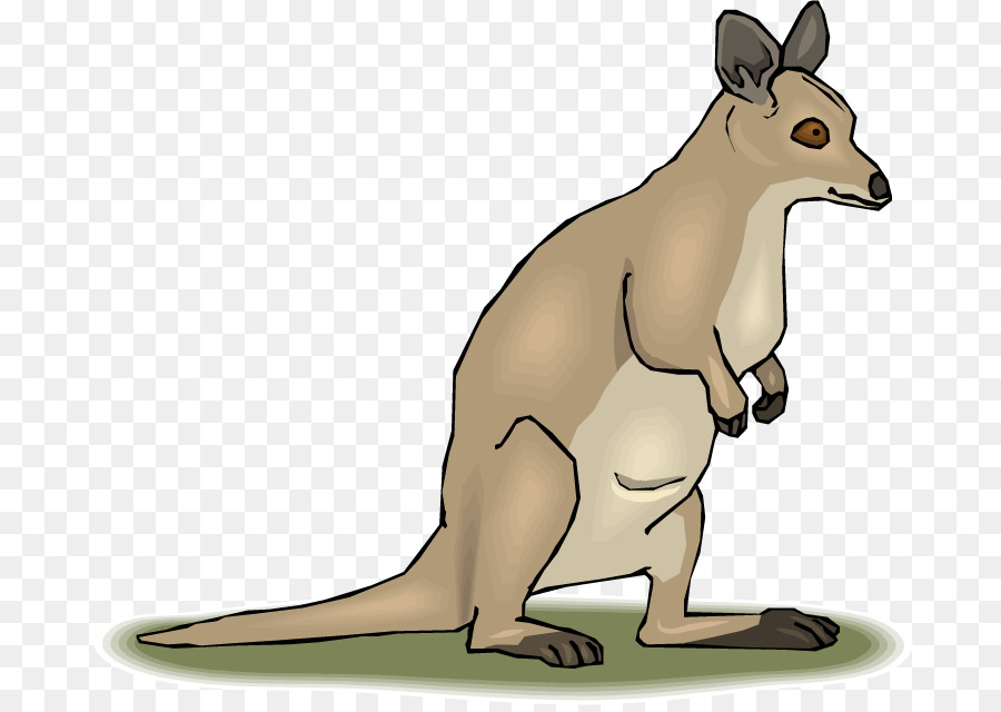 Kangourou De Dessin Animé，Marsupial PNG