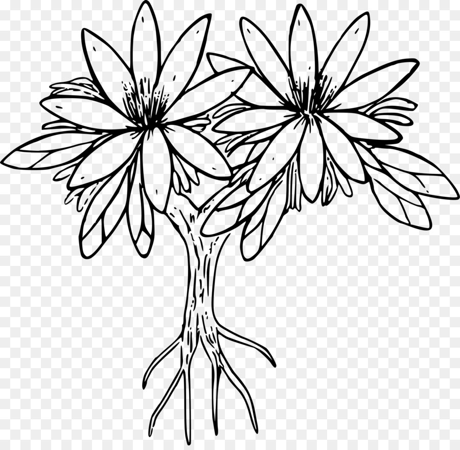 Arbre à Fleurs，Noir Et Blanc PNG