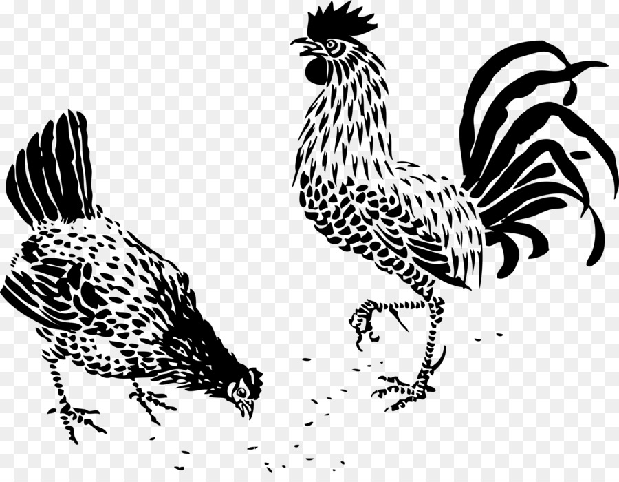 Poulets，Coq PNG