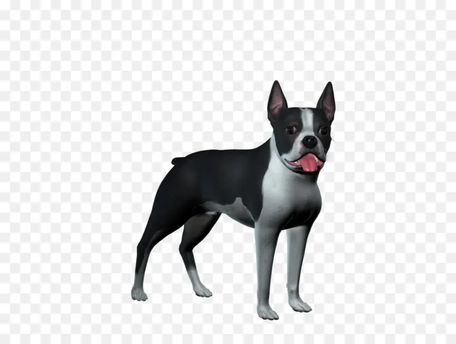 Chien，Animal De Compagnie PNG