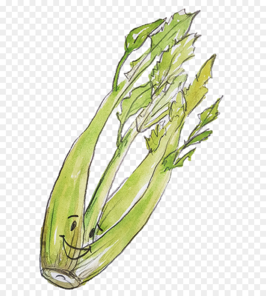 Allium Fistulosum，Légume PNG