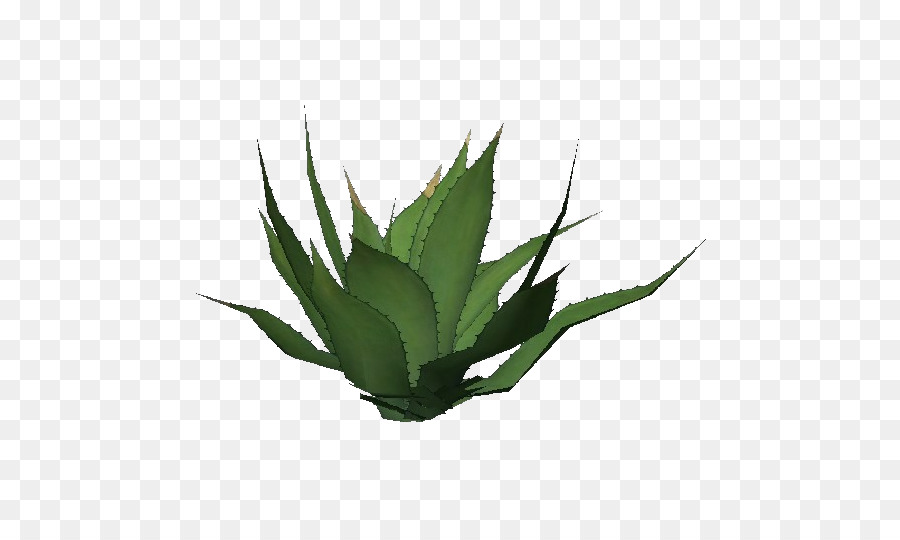 Feuille Verte，Feuillage PNG