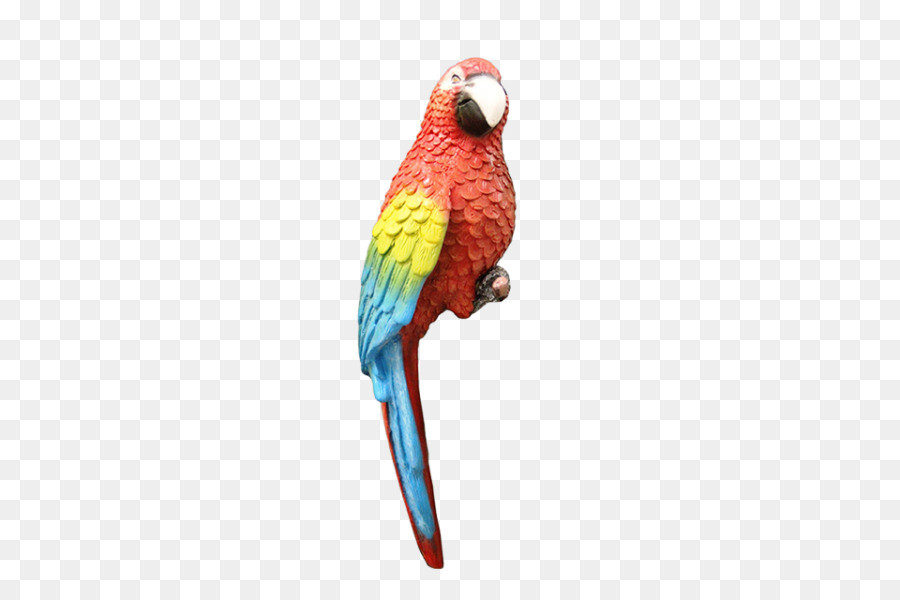 Oiseau，Les Perroquets PNG