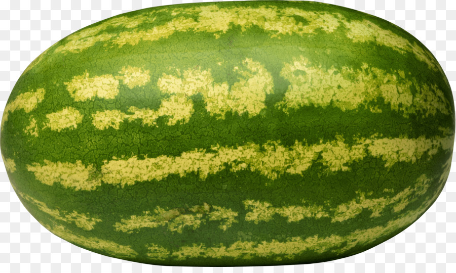 Melon Vert，Melon PNG