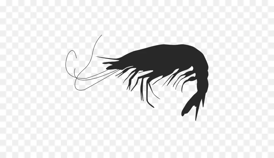 Silhouette，Crevettes PNG