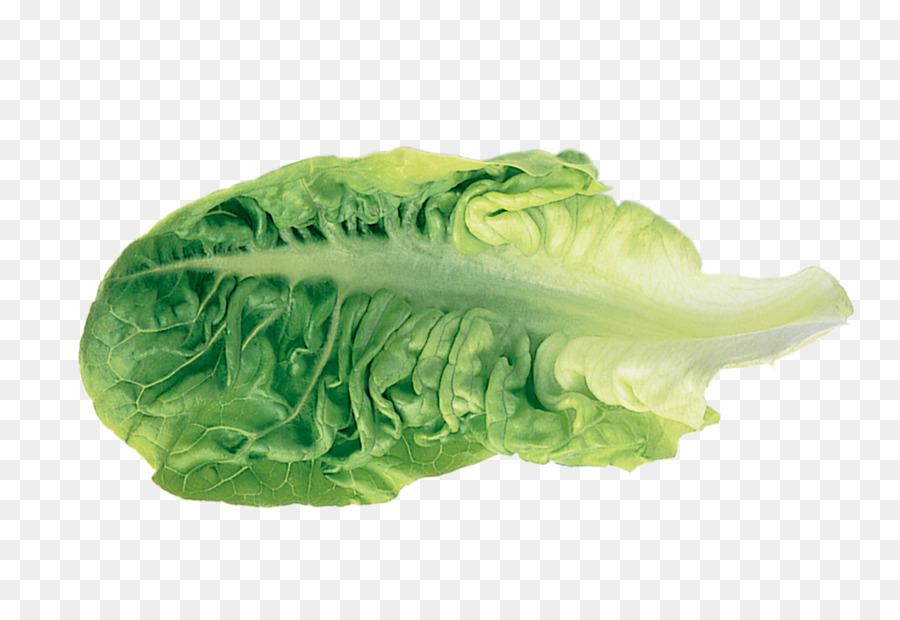 Laitue，Légume Feuille PNG