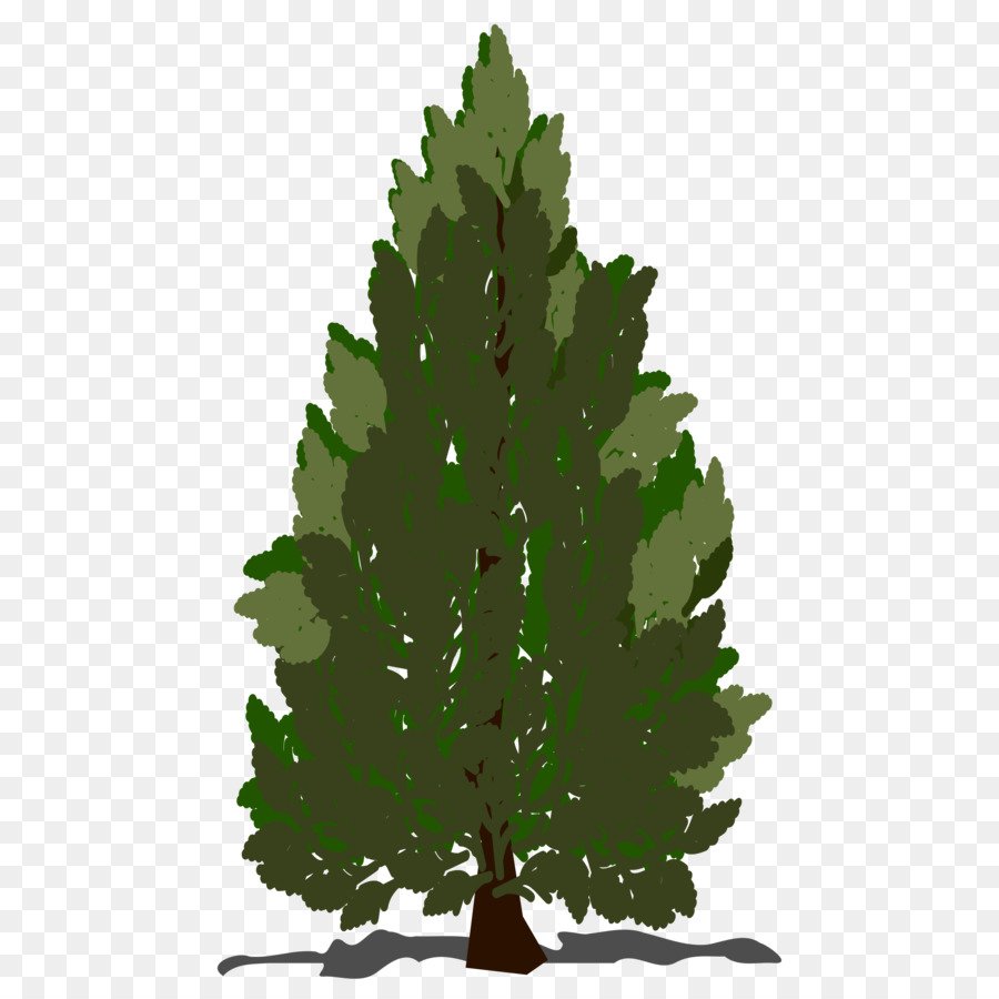 Arbre，Feuilles PNG