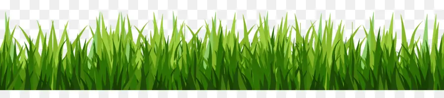 Herbe，Vert PNG