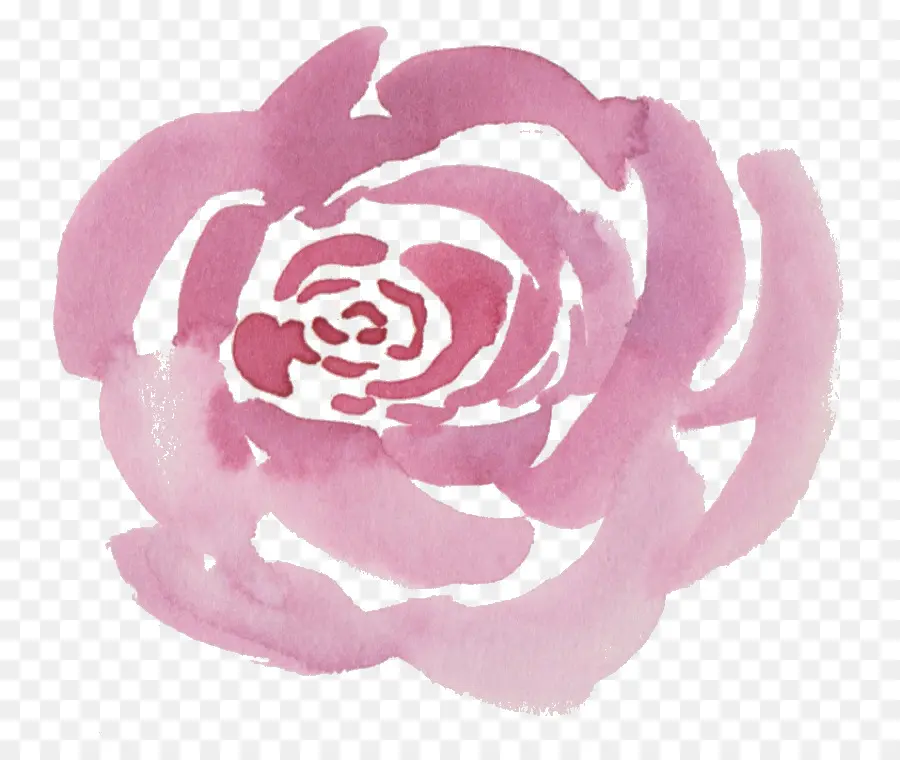 Fleur Rose，Rose PNG