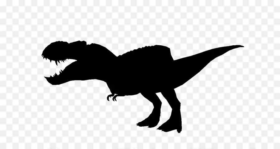 Tyrannosaurus Rex，Vélociraptor PNG