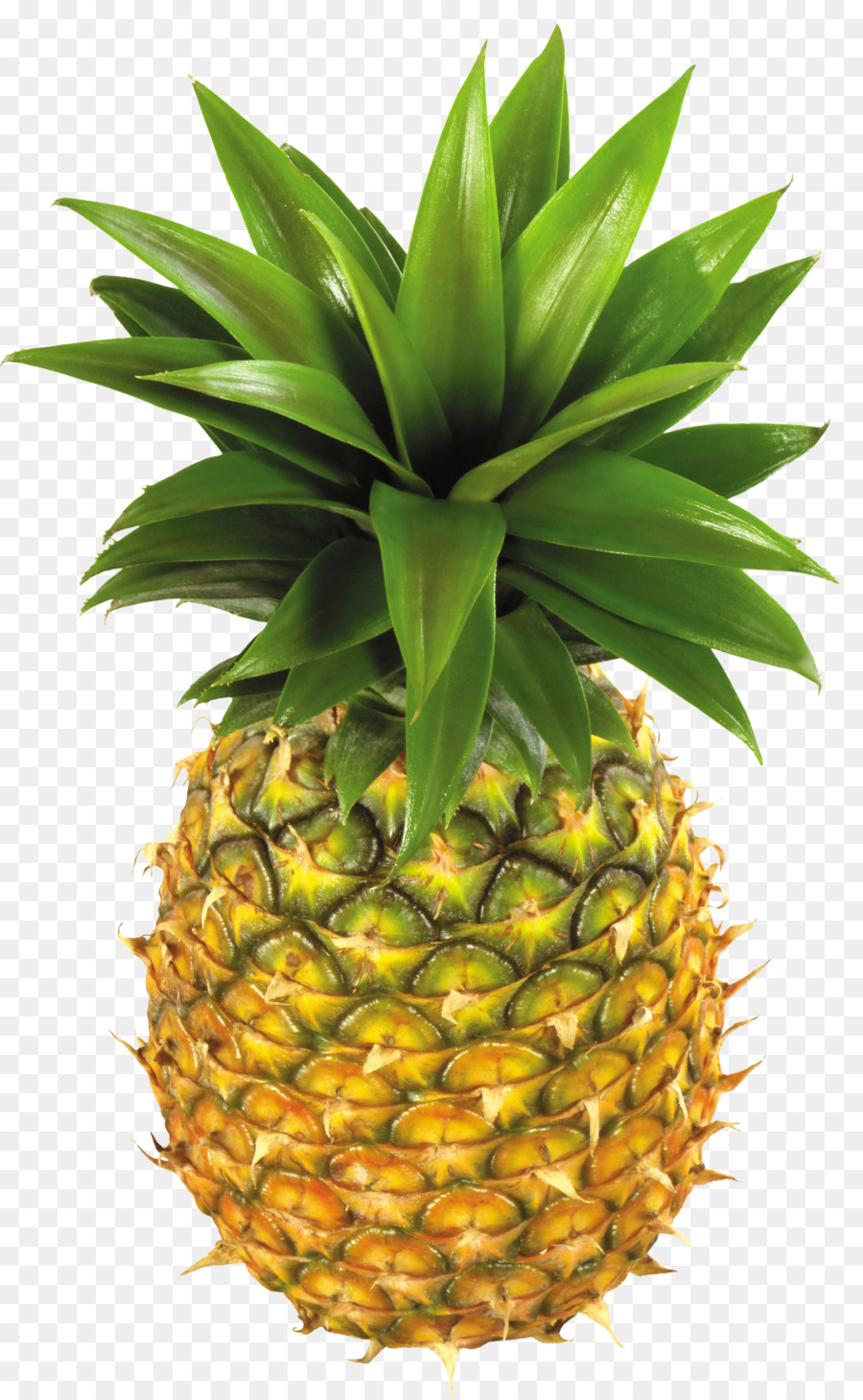 Ananas Bleu，Fruit PNG