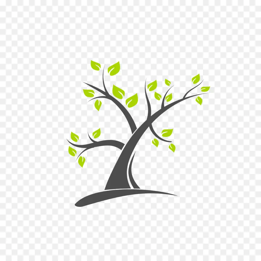 Arbre，Feuilles PNG