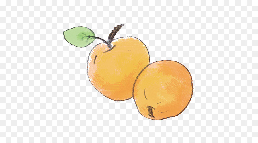 Orange，Agrumes PNG