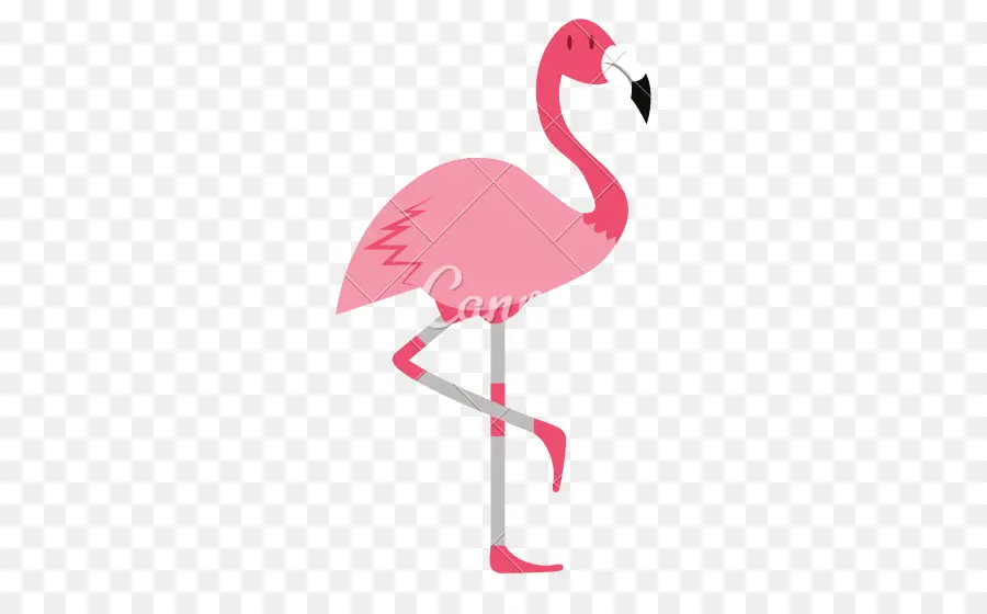 Flamant Rose，Debout PNG