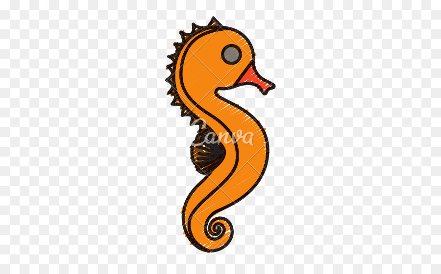 Hippocampe，Royaltyfree PNG