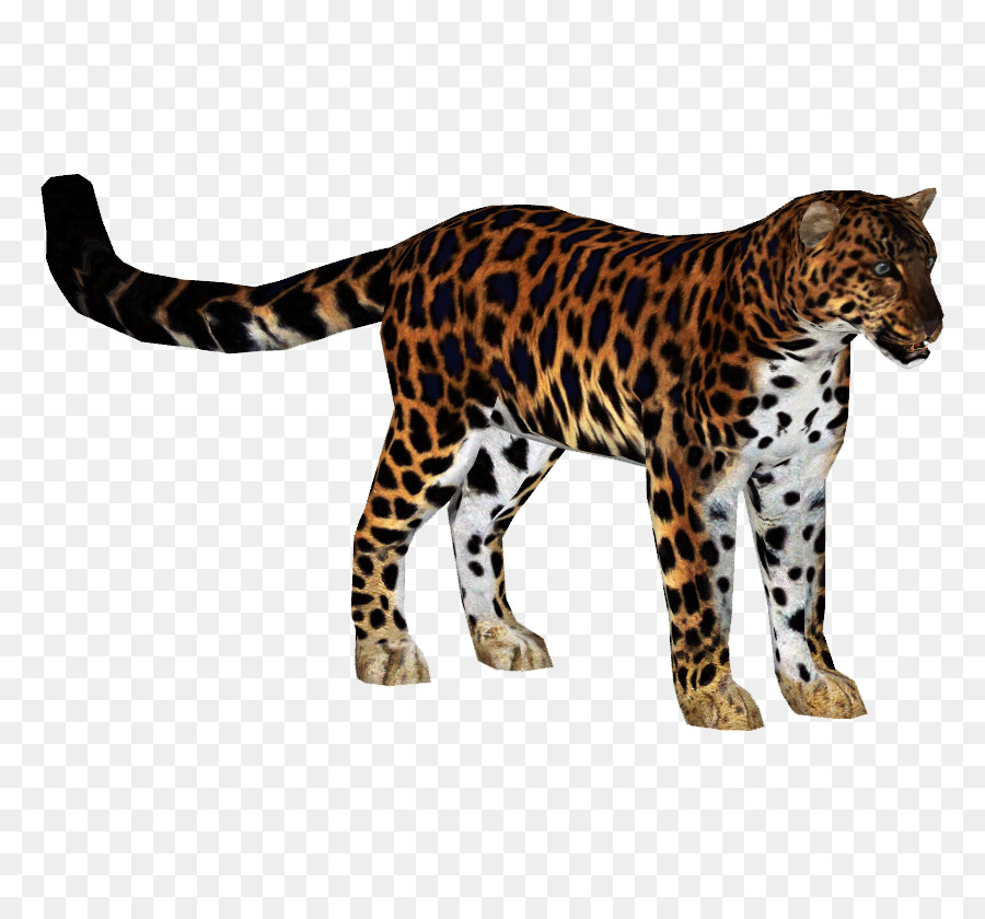 Zoo Tycoon 2，Jaguar PNG