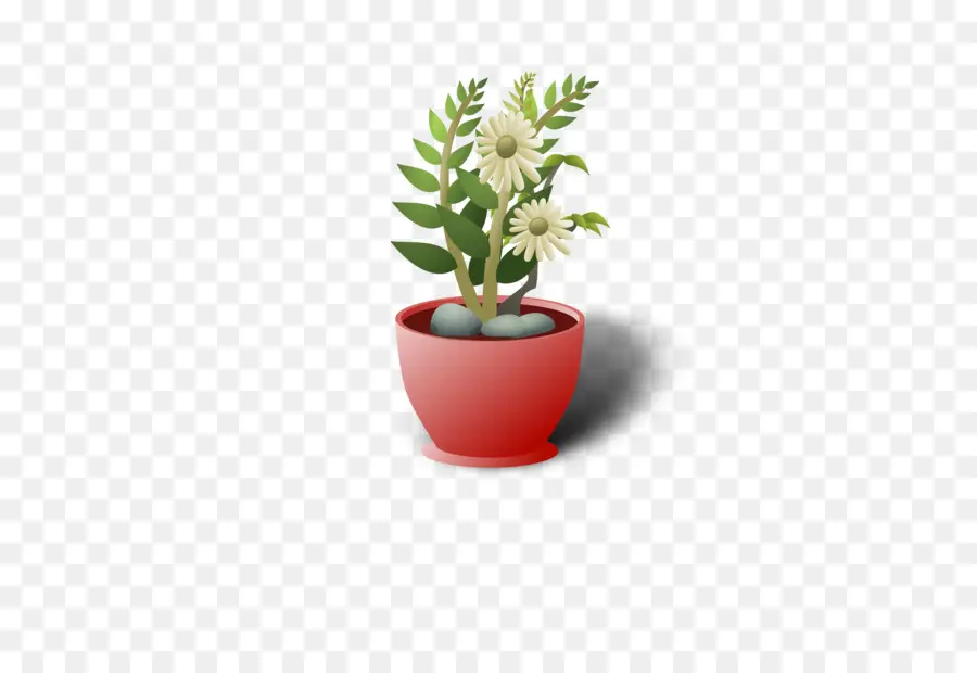 Plante En Pot，Fleur PNG