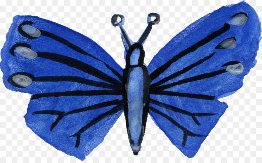 Papillon，Les Insectes PNG