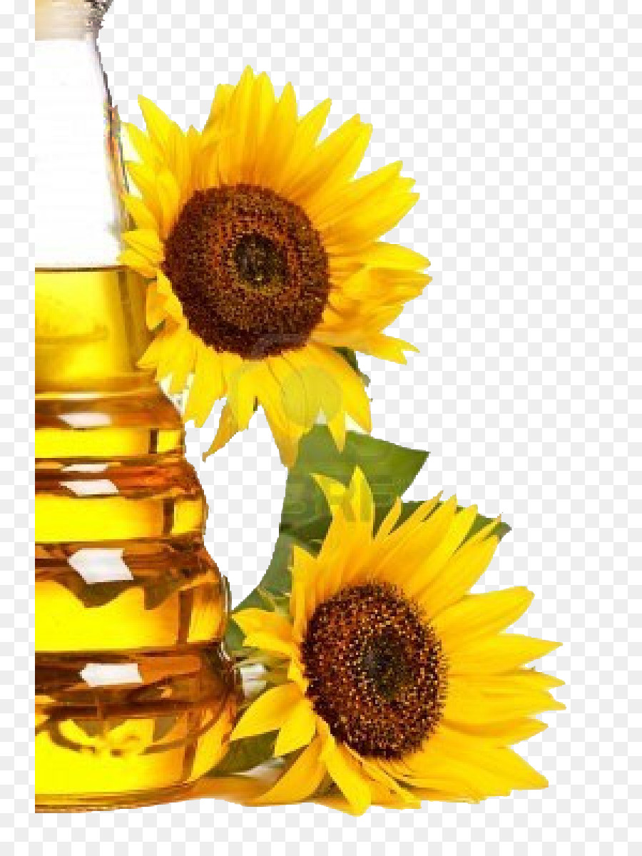 Tournesol Et Huile，Fleur PNG