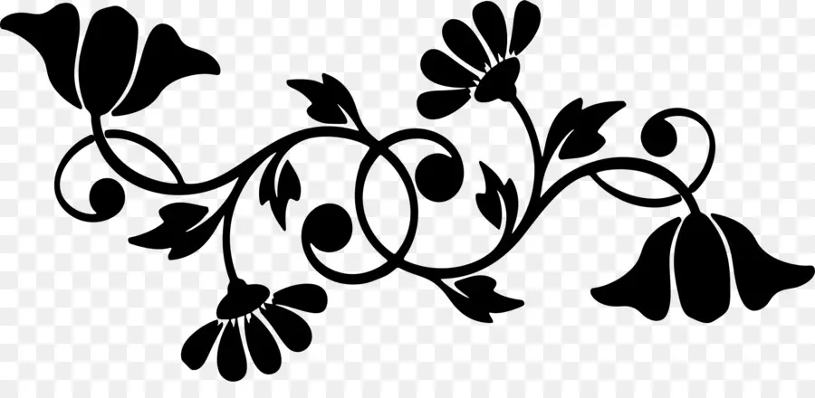 Motif Floral Noir，Fleur PNG