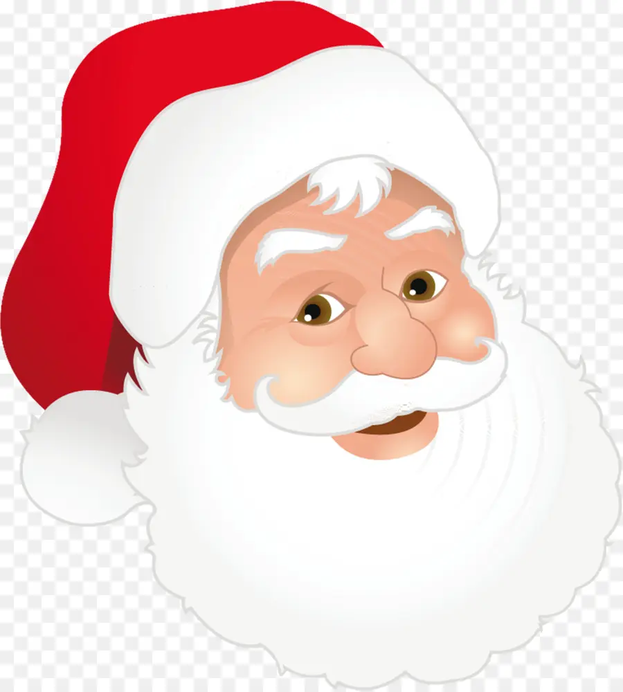 Visage Du Père Noël，Noël PNG