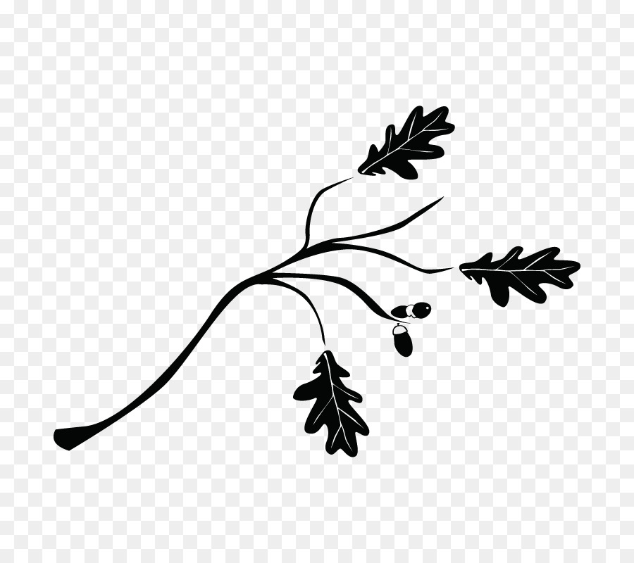 Fleur，Feuilles PNG