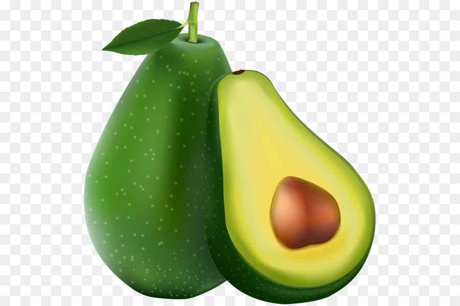 Avocat，Vert PNG