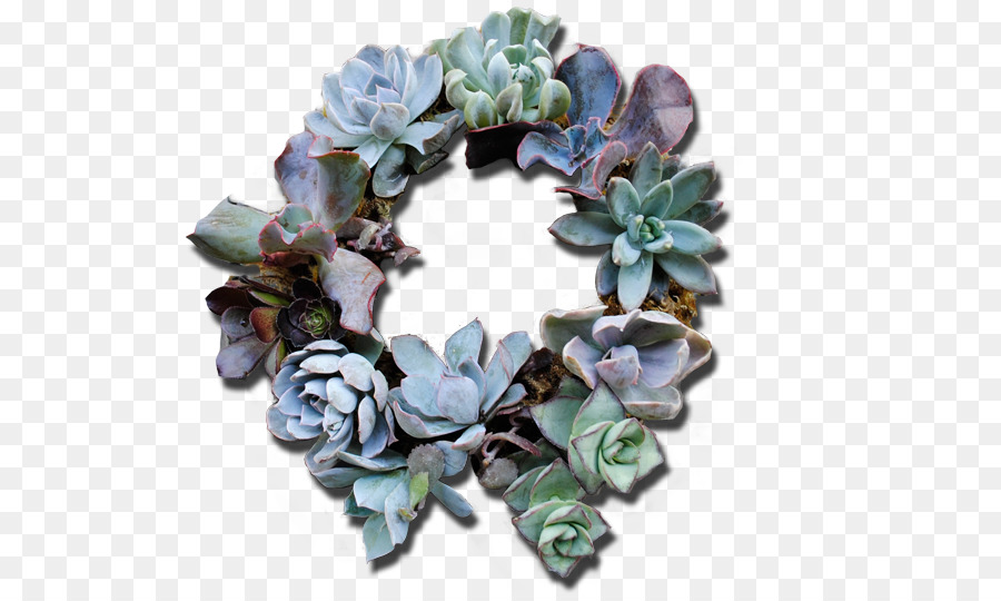 Couronne Succulente，Plantes PNG