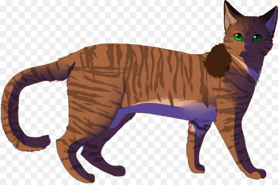 Chat，Animal De Compagnie PNG