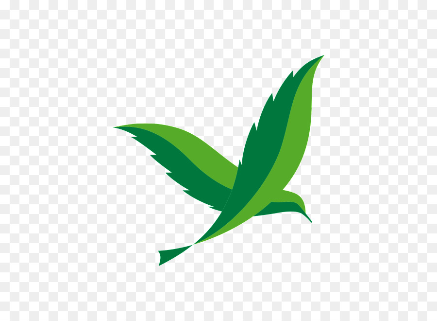 Feuilles，Plantes PNG