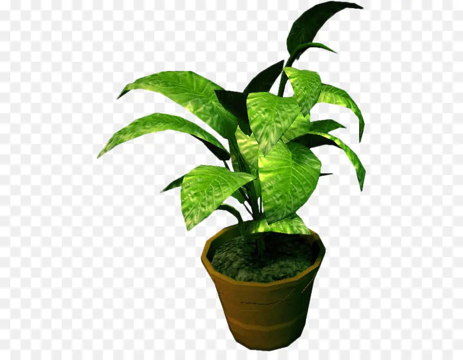 Plante D Intérieur，Flowerpot PNG