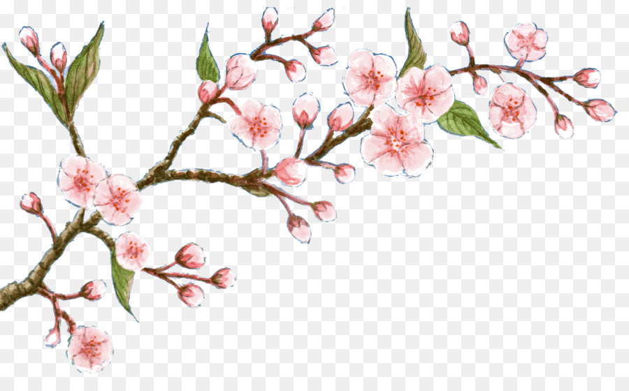 Branche De Fleurs De Cerisier，Fleurs PNG