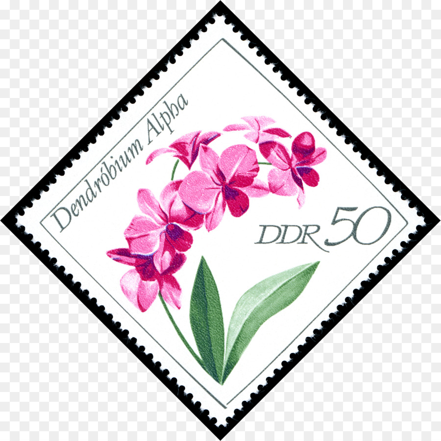 Fleurs Roses，Dendrobium Alpha PNG