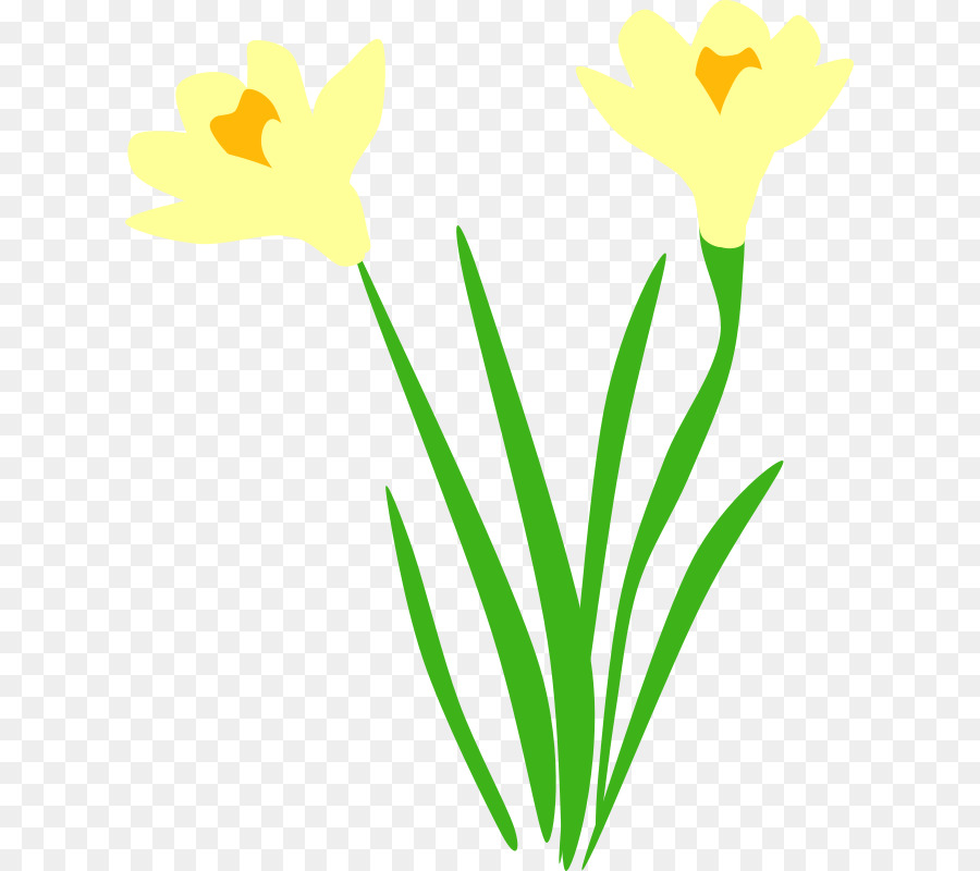 Tulipes Jaunes，Fleurs PNG